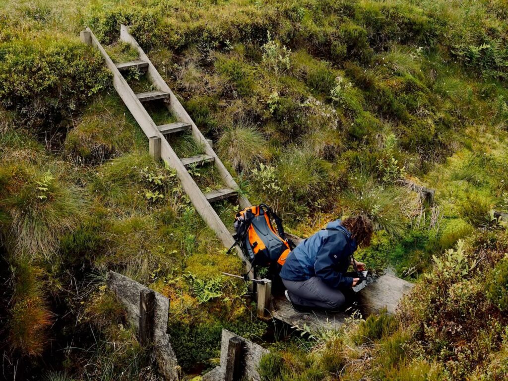 Person working in a small grass covered ditch next to a wooden ladder