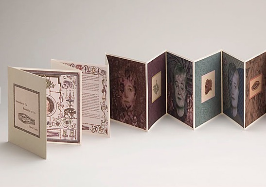 A series of colourful cards in a concertina layout