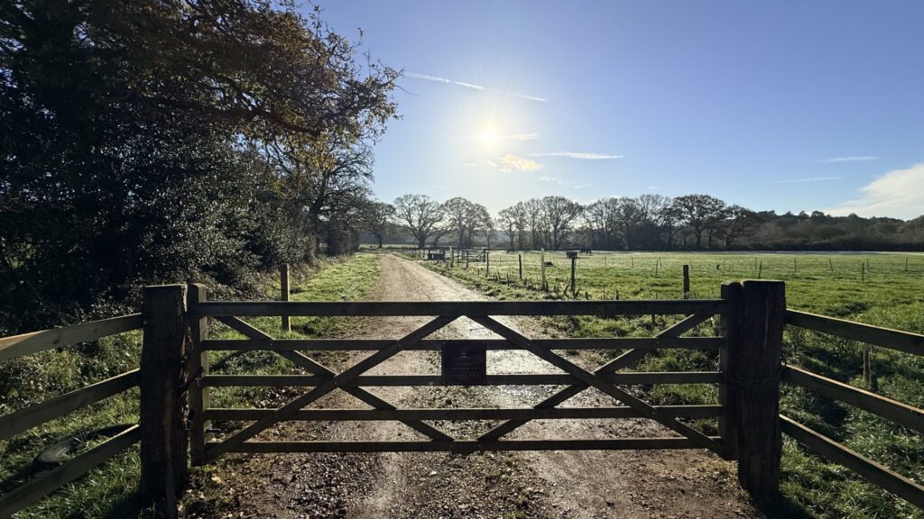 Wooden farm gate across a dirt track leading into grassy fields, with low sun in a clear blue sky and trees on the horizon