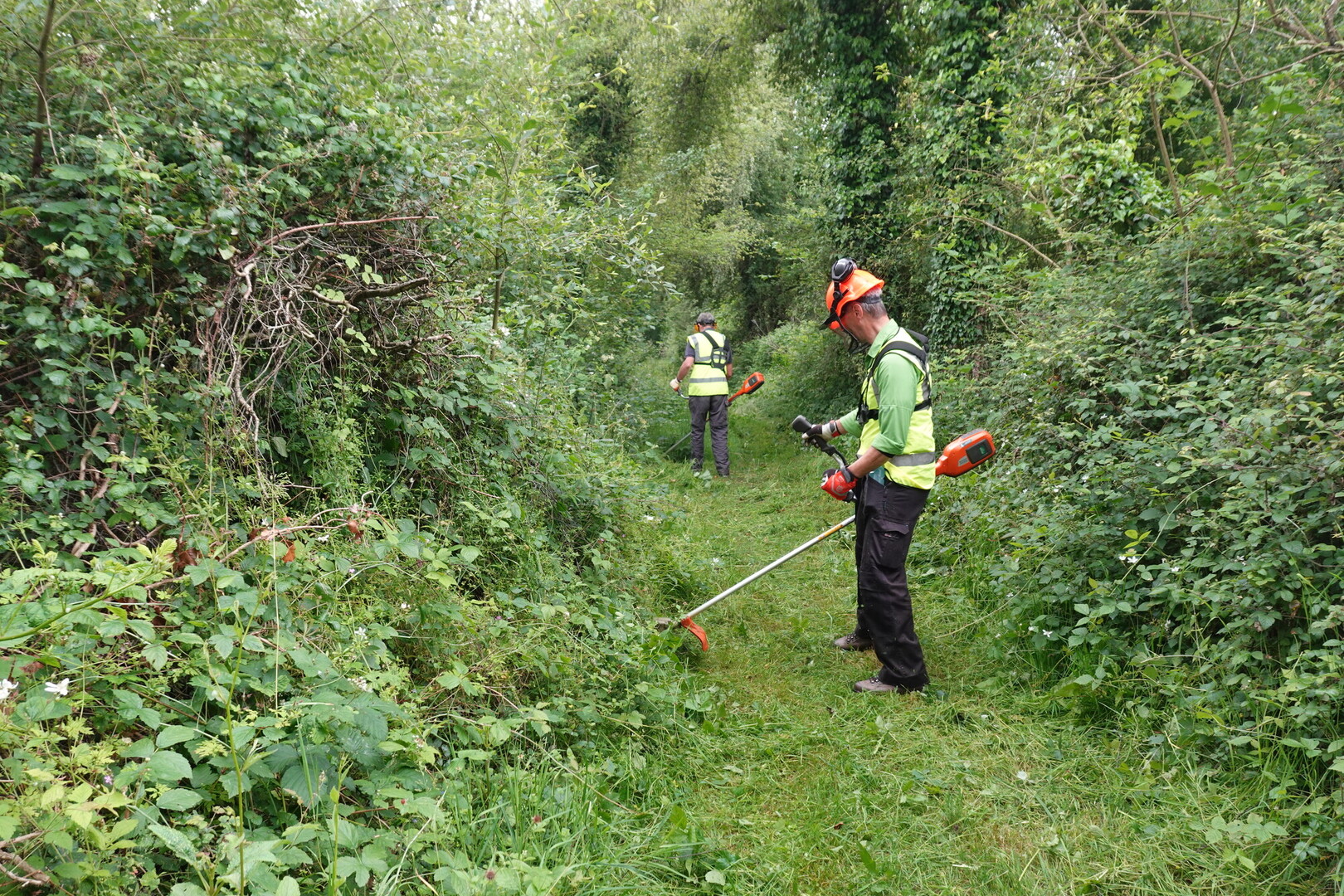 Trained volunteers on the former Breamore Railway Line