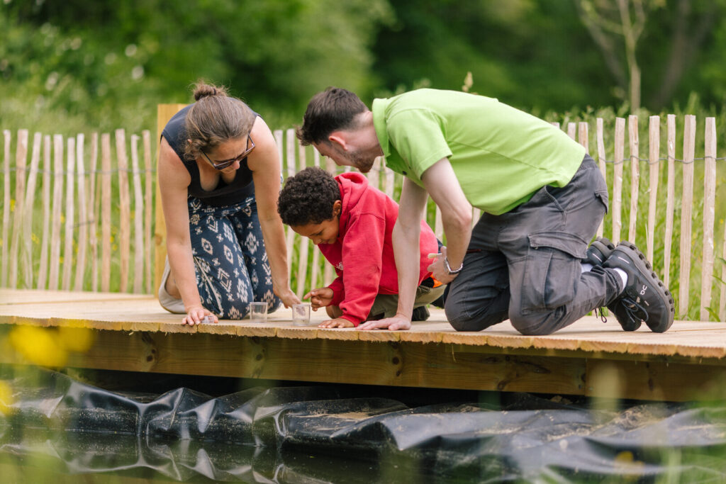 Two adults and a child kneel on a wooden platform outdoors, examining small clear containers near a reed fence