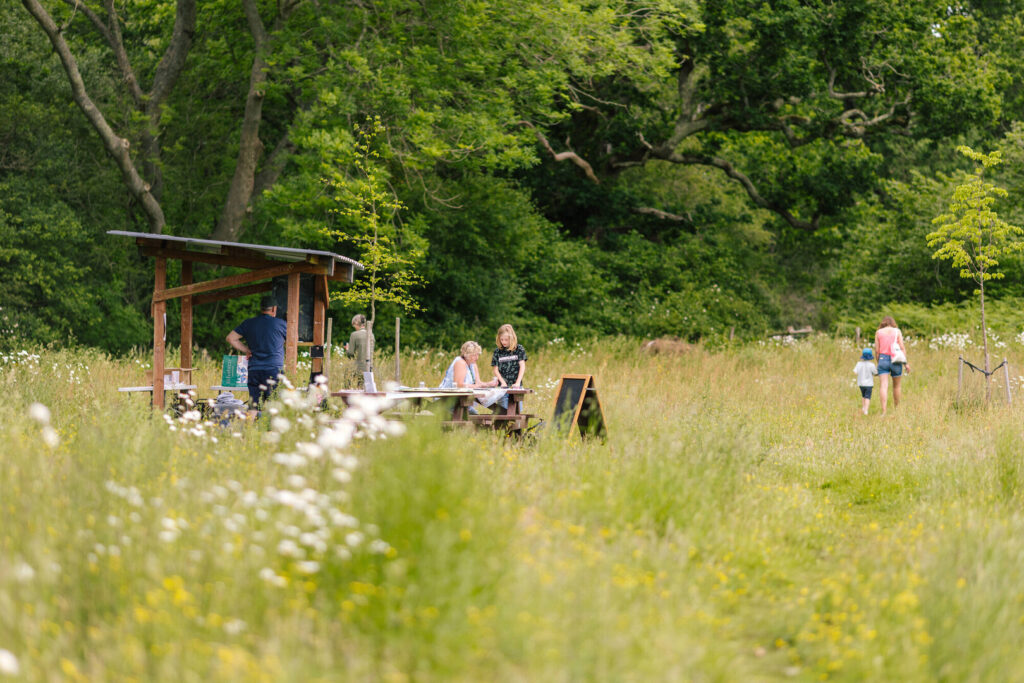 A field with wildflowers and a wooden shelter. Several people including parents and young children are enjoying it. A wooden bench sits next to the wooden shelter with some people looking at various activity sheets.