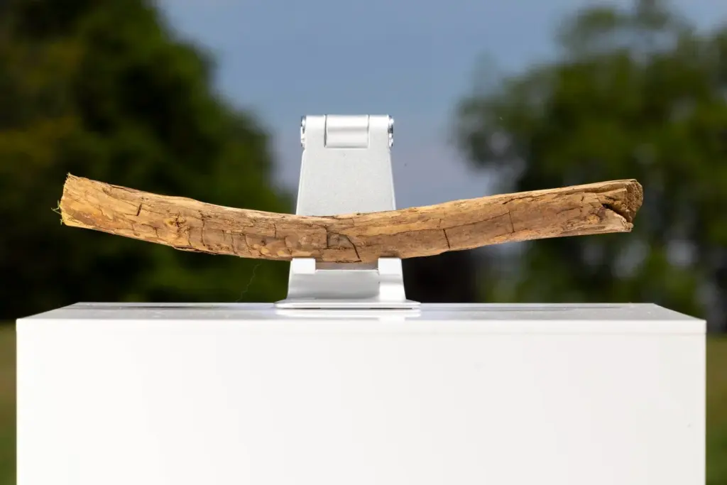 Wooden stick held in a silver clamp on a white pedestal outdoors, with blurred trees and sky in the background