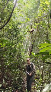 Young woman standing in rainforest below orangutan in tree