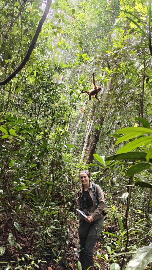 Young woman standing in rainforest below orangutan in tree