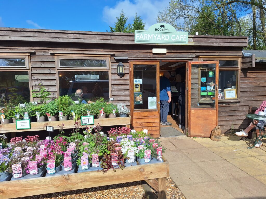 Entrance of Hockey's Farmyard Cafe with open doors, people inside, and flower and herb plants for sale outside under blue sky