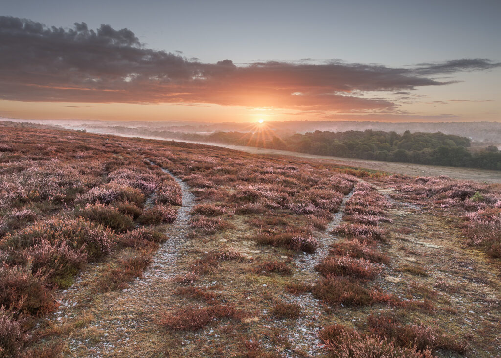 Sunrise over misty hills, with footpaths winding through pink heather on a moorland slope under clouds