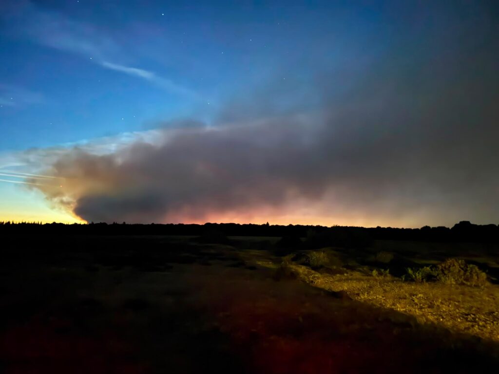 A large cloud of smoke rising up from a heathland wildfire in the New Forest at dusk