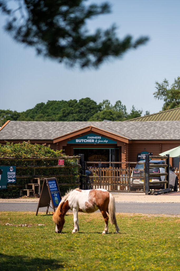 Pony grazing on grass outside The Farmers Butcher & farm shop building with farm shop signs and parked car