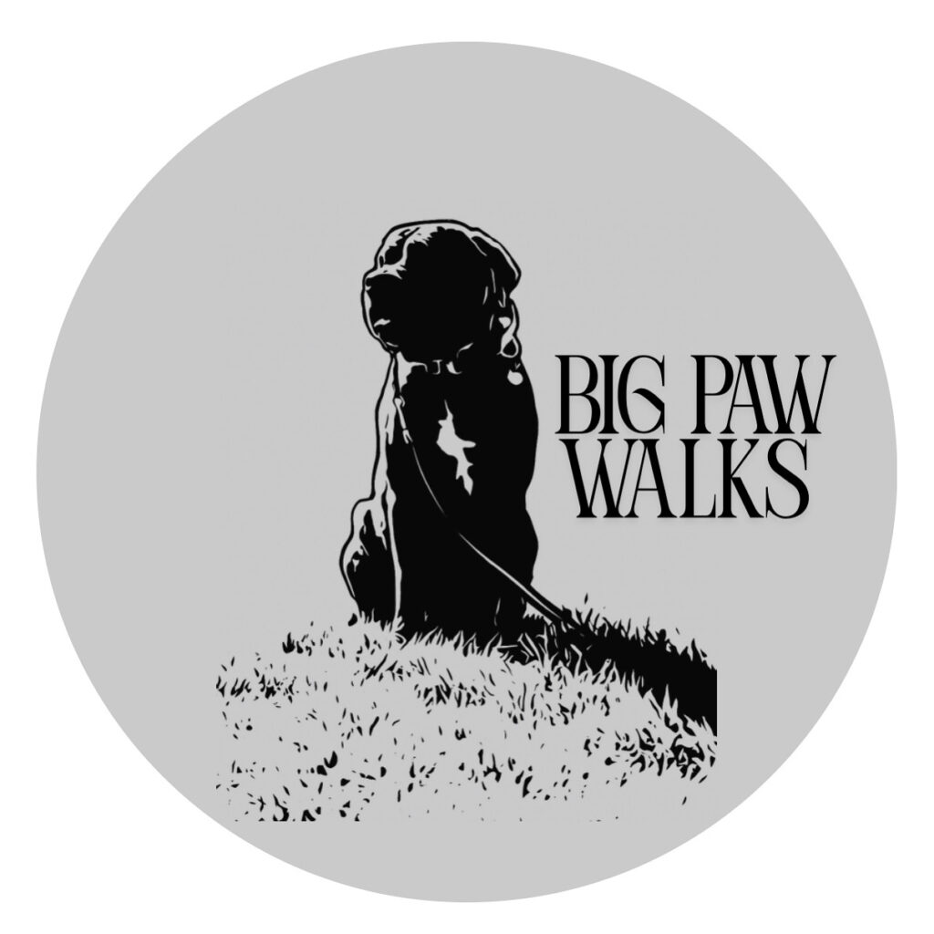 Big Paw Walks