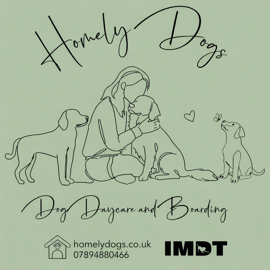 Homely Dogs