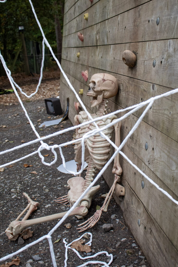 Halloween skeleton prop slumped against a wooden climbing wall, tangled in white spiderweb decorations on the ground