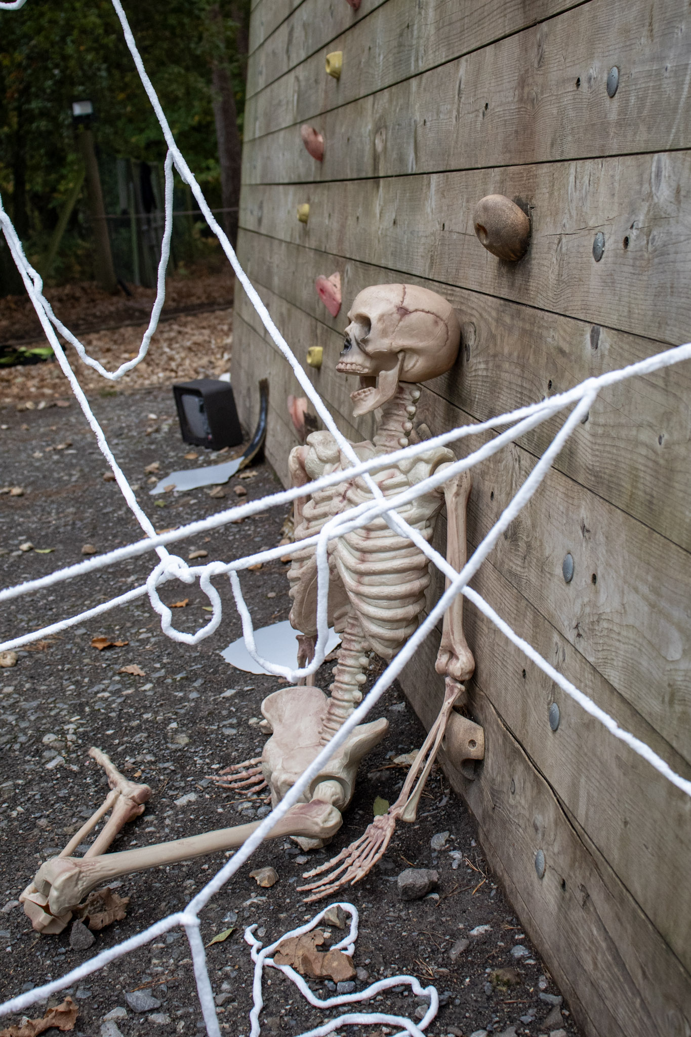 Halloween skeleton prop slumped against a wooden climbing wall, tangled in white spiderweb decorations on the ground