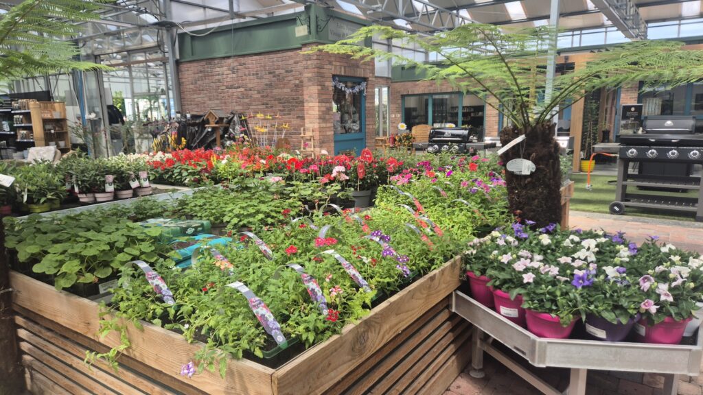 Garden centre with plants