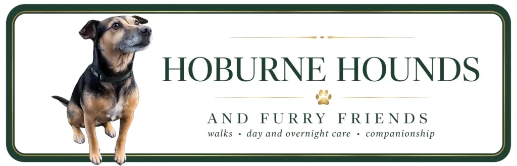 Hoburne Hounds and Furry Friends