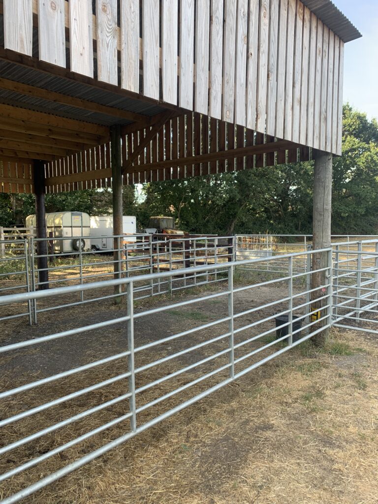 Wooden slat-sided shed on posts above metal livestock pens, with a horse trailer and trees in the background