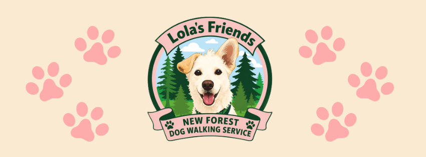 Lola's Friends New Forest Dog Walking Service