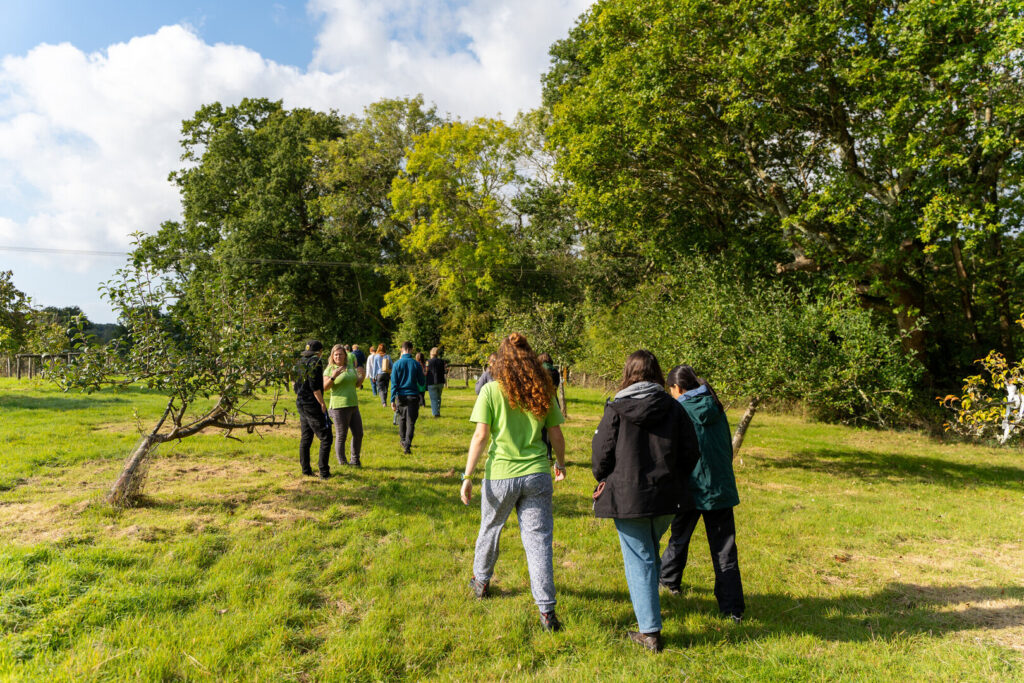 A group of young adults walking through a field with small trees