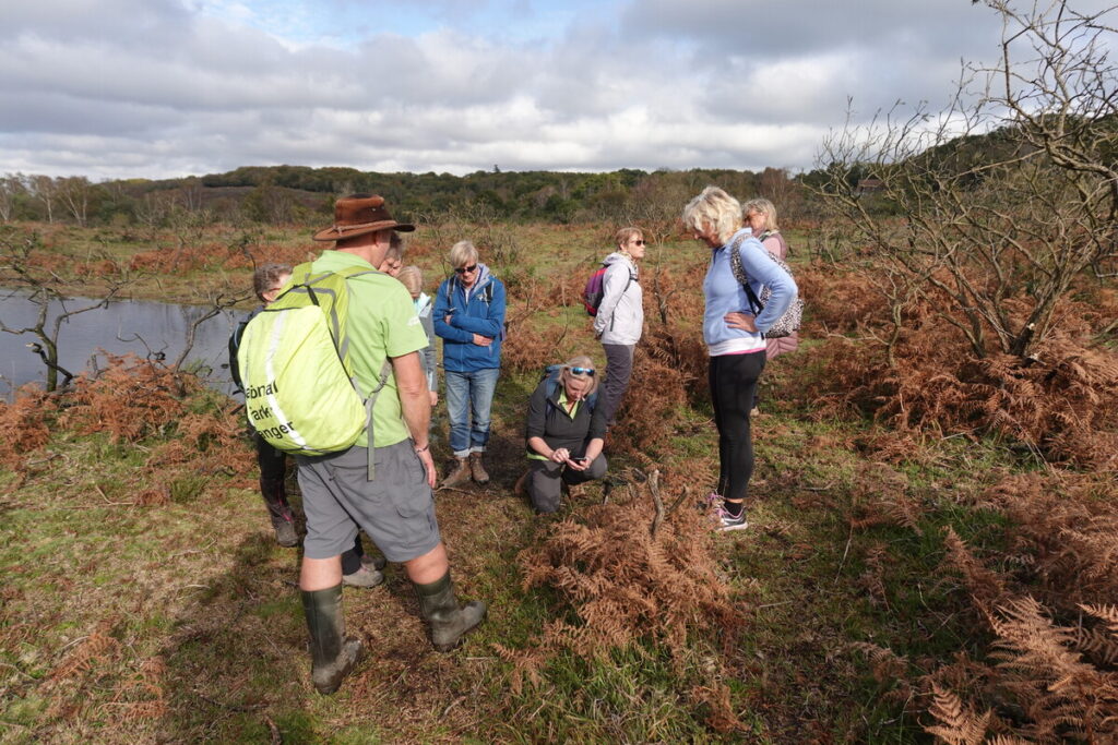 A group walk stop on open heathland to examine plant life on the ground.