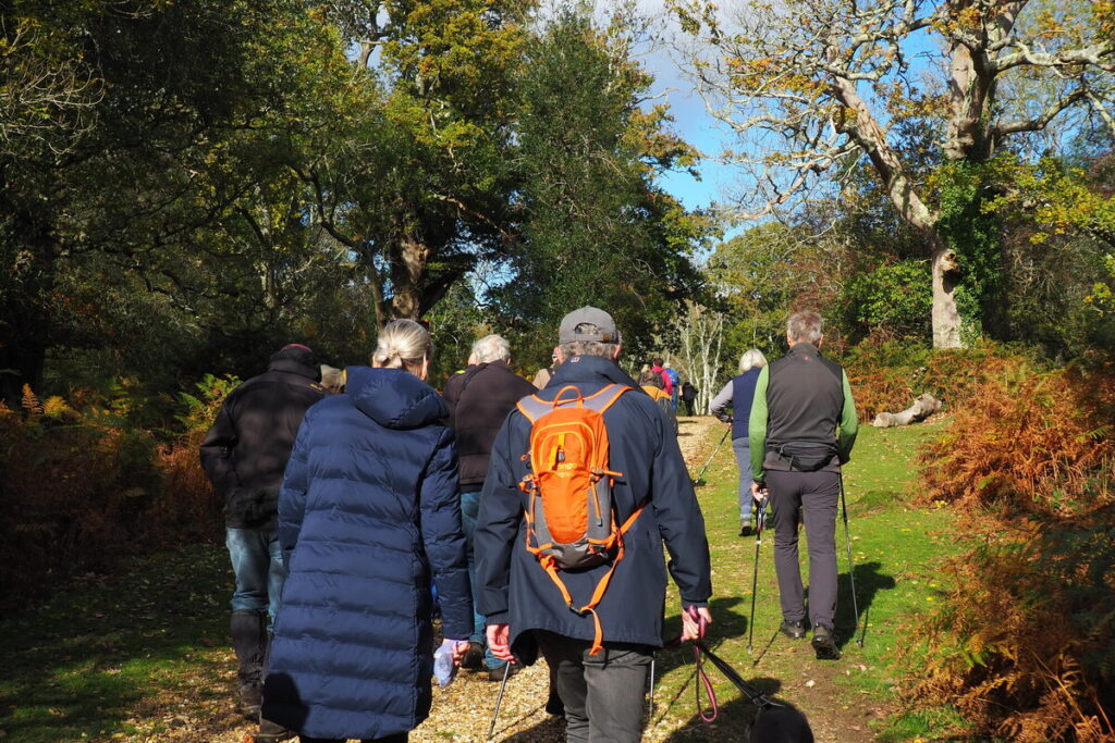 A group walk during the New Forest Walking Festival