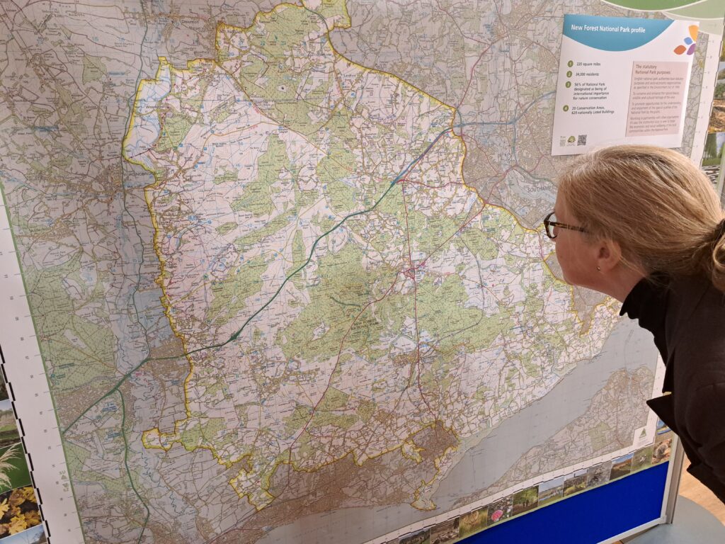 Woman with glasses studies a large wall map of New Forest National Park showing roads, towns, and park boundary