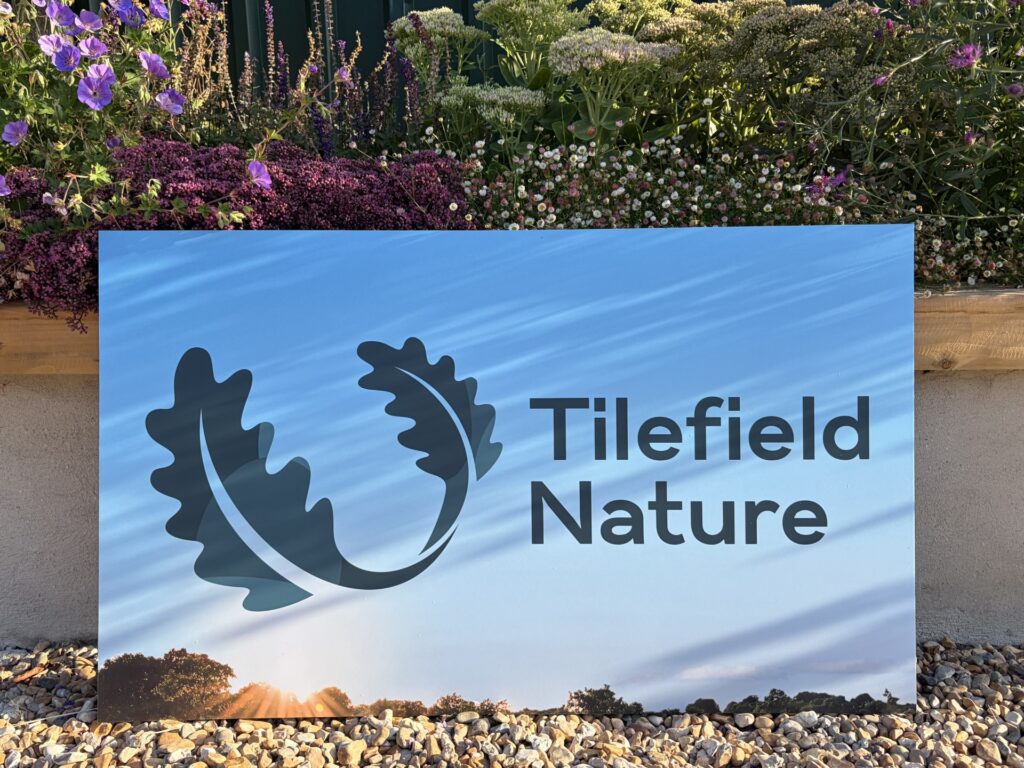 Tilefield Nature sign with leaf logo in front of a flower bed with purple and white blooms