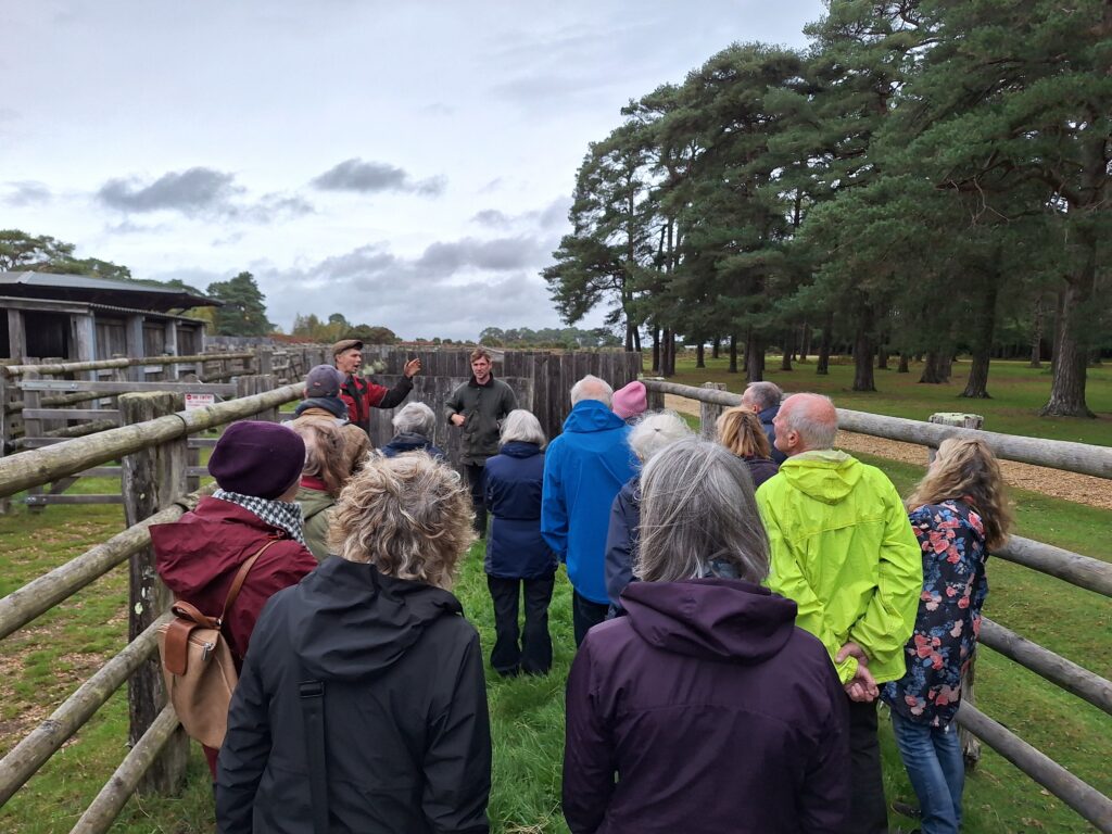 Young Commers lead a walk in the New Forest