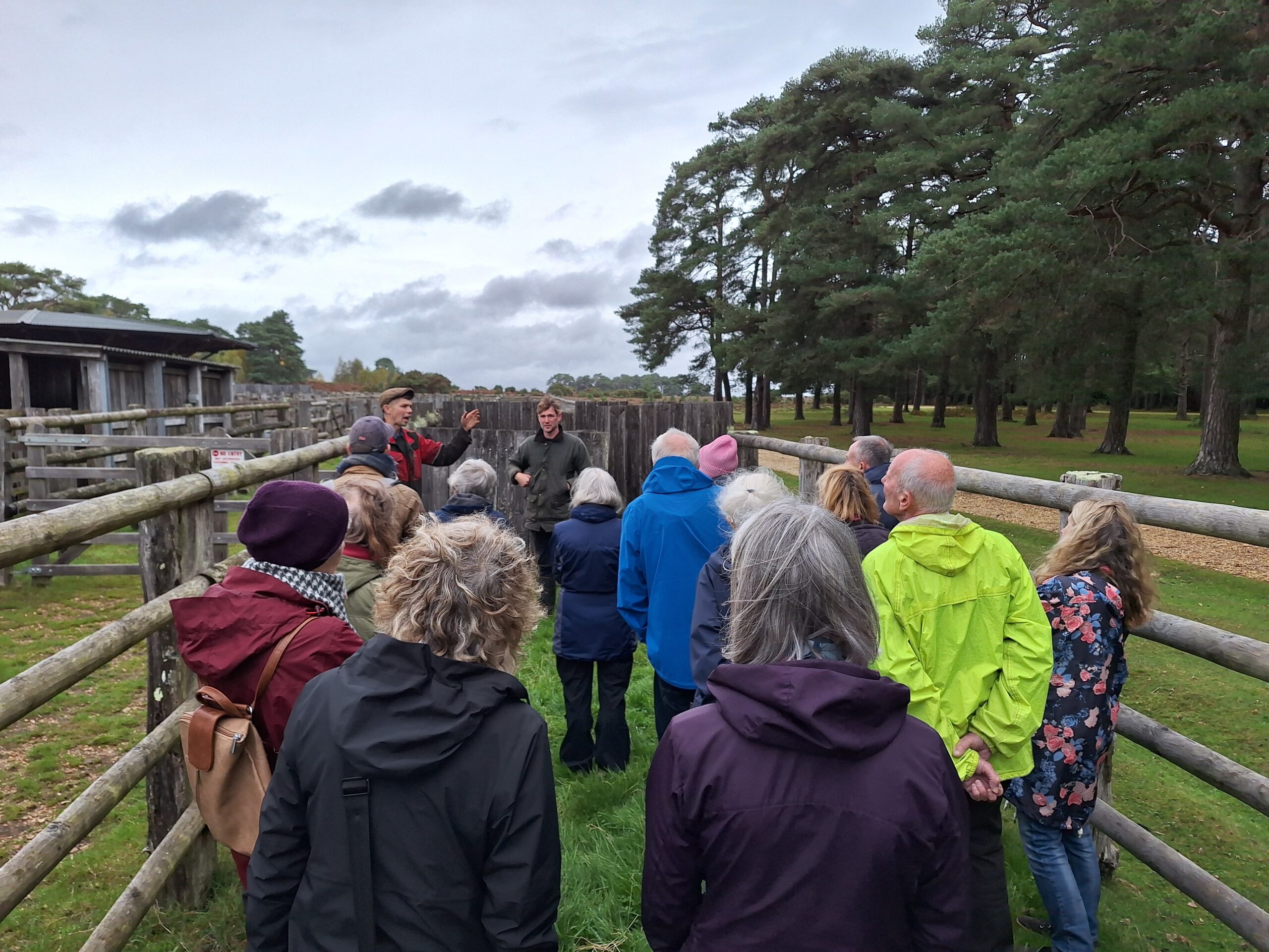 Young Commers lead a walk in the New Forest