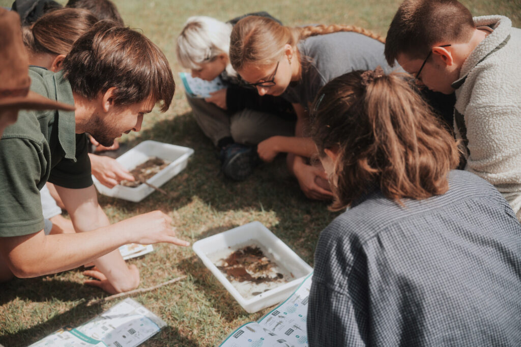 Young adult park rangers kneel on grass examining freshwater pond species in white trays, using identification charts