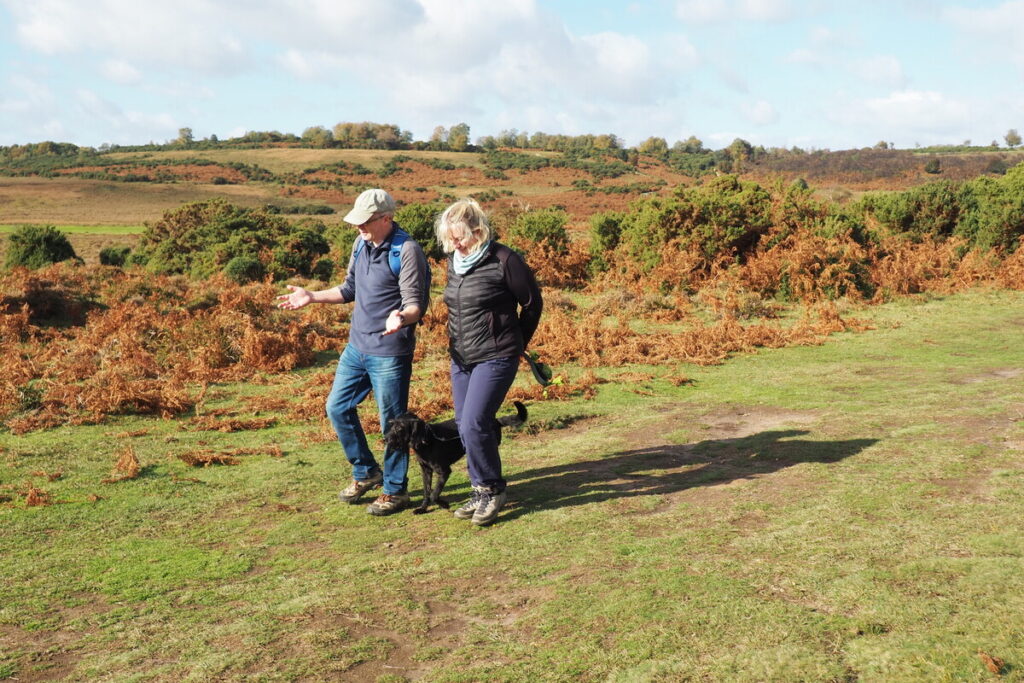A couple walk in the New Forest with a dog on a lead, surrounded by heathland.