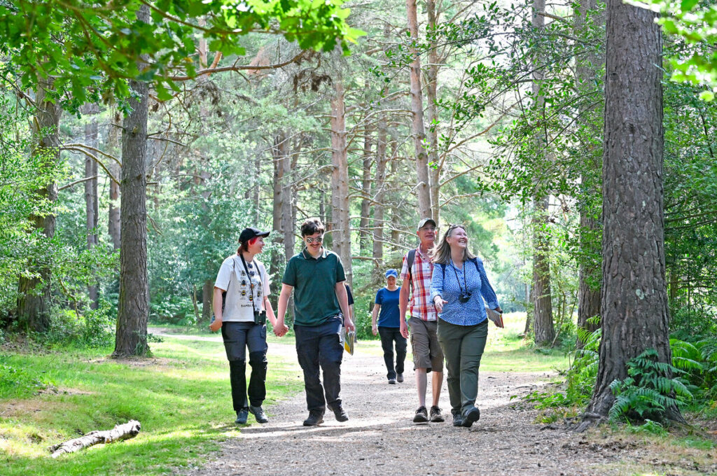 A group of people walk in a forest surrounded by trees and green foliage