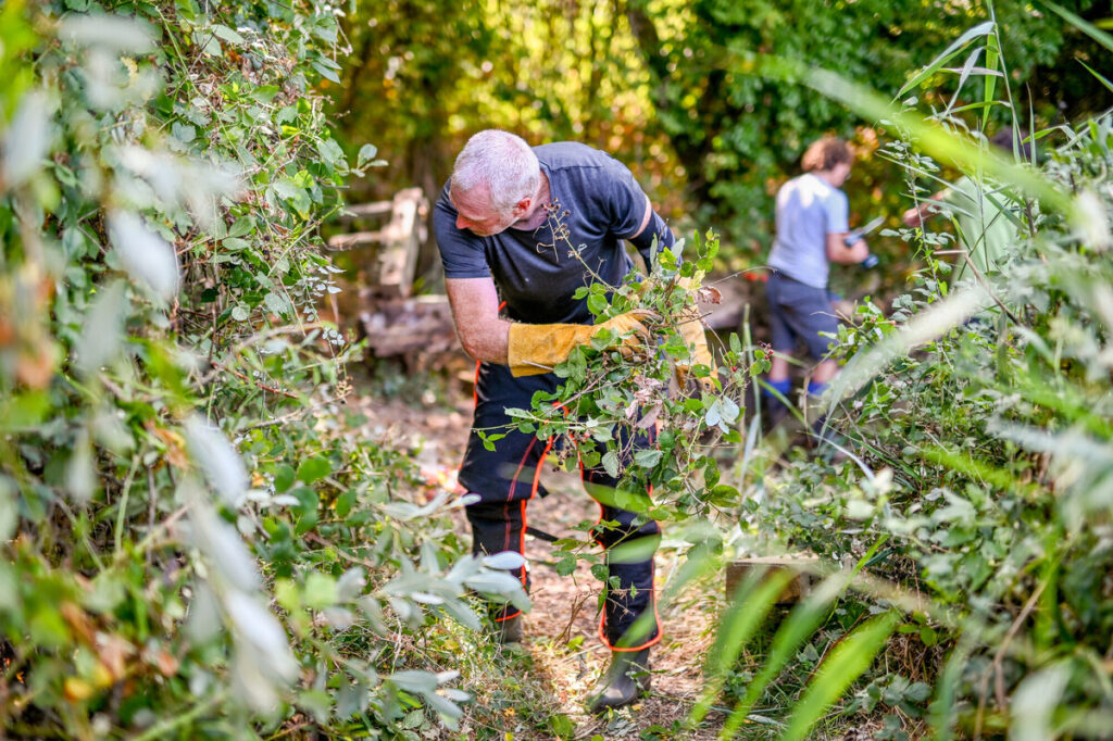 A volunteer works to clear vegetation.