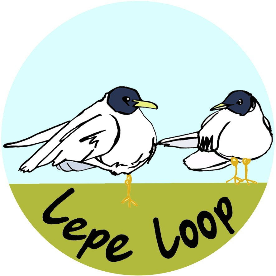 Illustration of two seabirds with dark heads and yellow legs above the text Lepe Loop in a circular badge